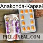 Anaconda Capsule new12